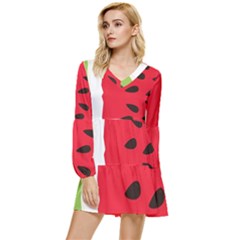 Watermelon Black Green Melon Red Tiered Long Sleeve Mini Dress by Cemarart