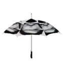 Png huod Straight Umbrellas View3