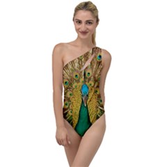 Peacock Feather Bird Peafowl To One Side Swimsuit by Cemarart