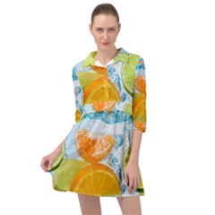 Fruits, Fruit, Lemon, Lime, Mandarin, Water, Orange Mini Skater Shirt Dress by nateshop