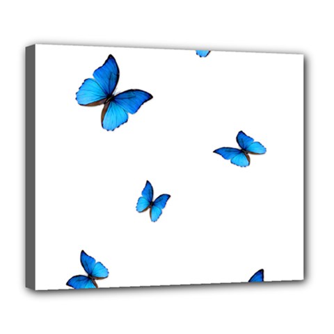 Butterfly-blue-phengaris Deluxe Canvas 24  X 20  (stretched) by saad11