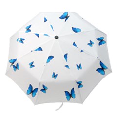 Butterfly-blue-phengaris Folding Umbrellas by saad11