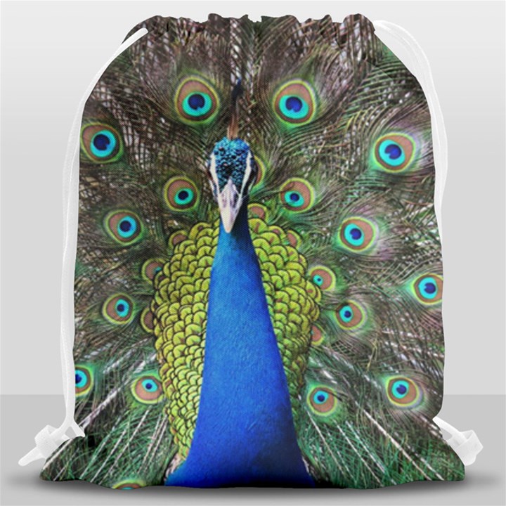 Peacock Bird Feathers Pheasant Nature Animal Texture Pattern Drawstring Bag (Large)