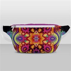 Pink Florales Muster Waist Bag  by 2607694c