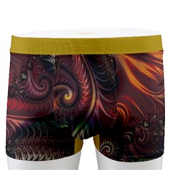 Fractal Men s Boxer Briefs by 2607694c