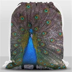 Bird Peacock Feathers Drawstring Bag (large) by Perong