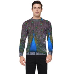 Bird Peacock Feathers Men s Long Sleeve Rash Guard by Perong