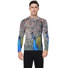 Peacock Bird Animal Peafowl Men s Long Sleeve Rash Guard by Perong