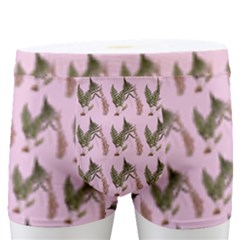 Fern Pattern 2 Pink Men s Boxer Briefs by snowwhitegirl