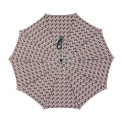 Fern Pattern 2 Pink Automatic Folding Umbrella With Case (large) by snowwhitegirl