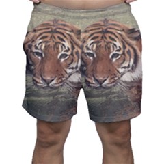 Swimming Tiger Men s Shorts by ExtraAwesomeSauce