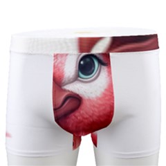 Kawaii Pink Parrot Pirate Men s Boxer Briefs by KawaiiArtStyle