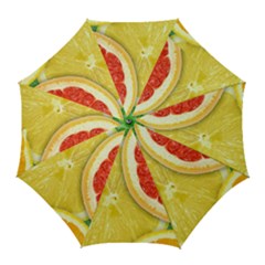 Fruit, Lemon Golf Umbrellas by kyorashop23