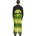 Kiwi Fruits, Close-up, Exotic Fruit Men s Front Zip Ski And Snowboard Bib Pants View4