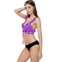 Purple Plaid Tartan 3 Low Cut Ruffle Edge Bikini Top View2