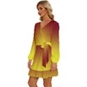 Burgundy Red To Electric Yellow Linear Gradient Long Sleeve Waist Tie Ruffle Velvet Dress View2