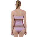 Chocolate Brown To Pink Lace Bilinear Gradient Sweetheart Tankini Set View2