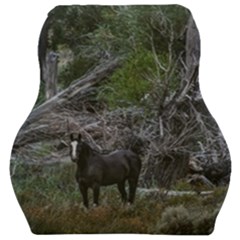 Meadow Landscape, Los Altares, Chubut Province, Argentina Car Seat Velour Cushion  by dflcprintsclothing