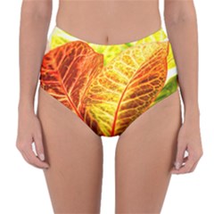 Leaves Plant Pattern Croton Nature Reversible High-waist Bikini Bottoms by Sabxi