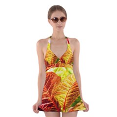 Leaves Plant Pattern Croton Nature Halter Dress Swimsuit  by Sabxi