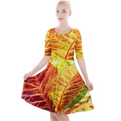 Leaves Plant Pattern Croton Nature Quarter Sleeve A-line Dress by Sabxi