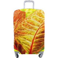 Leaves Plant Pattern Croton Nature Luggage Cover (large) by Sabxi