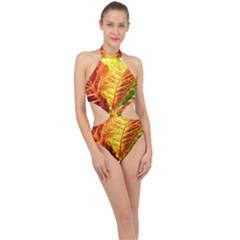 Leaves Plant Pattern Croton Nature Halter Side Cut Swimsuit by Sabxi