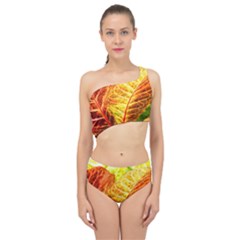 Leaves Plant Pattern Croton Nature Spliced Up Two Piece Swimsuit by Sabxi