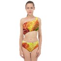 Leaves Plant Pattern Croton Nature Spliced Up Two Piece Swimsuit View1