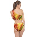 Leaves Plant Pattern Croton Nature Spliced Up Two Piece Swimsuit View2