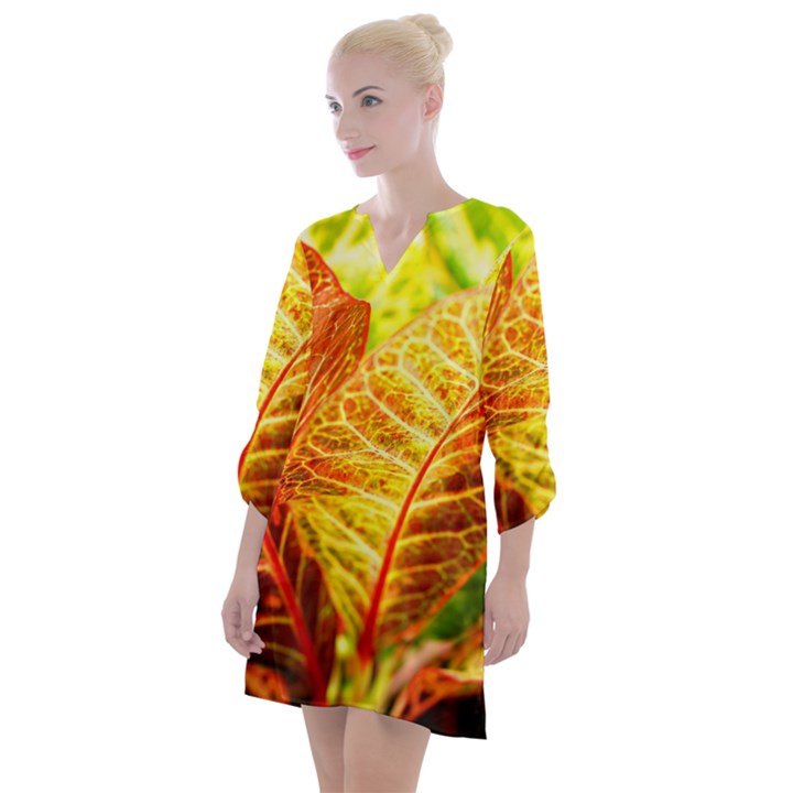 Leaves Plant Pattern Croton Nature Open Neck Shift Dress