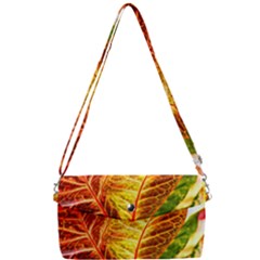 Leaves Plant Pattern Croton Nature Removable Strap Clutch Bag by Sabxi