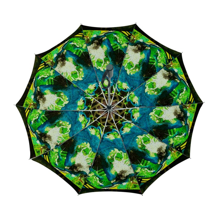 avocado Automatic Folding Umbrella with Case (Large)