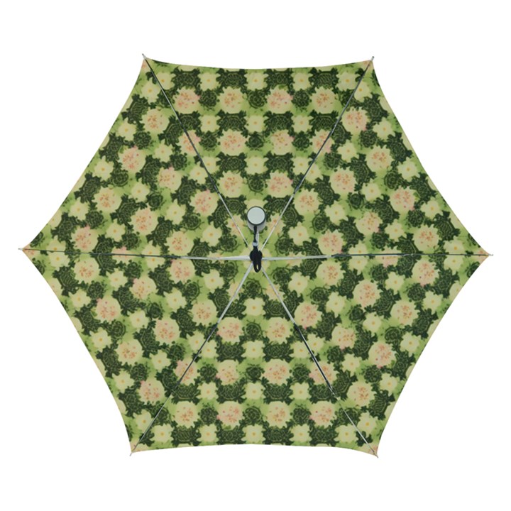 Retro 1880s Flowers Pattern 15 Automatic Folding Umbrella with Case (Small)