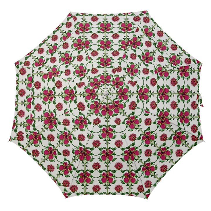 Retro 1880s Flowers Pattern 2 Straight Umbrellas