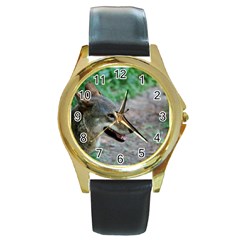 Red Wolf Round Metal Watch (gold Rim)  by AnimalLover