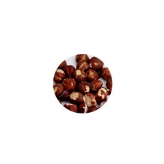 Hazelnuts 1  Mini Button Magnet by hlehnerer