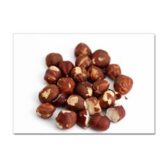 Hazelnuts A4 Sticker 100 Pack by hlehnerer