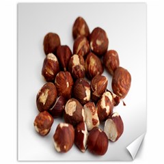 Hazelnuts Canvas 11  X 14  9 (unframed) by hlehnerer