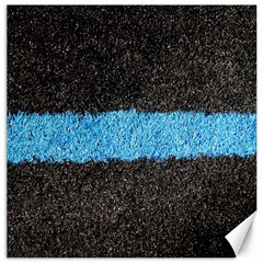 Black Blue Lawn Canvas 12  X 12  (unframed) by hlehnerer