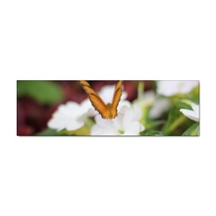 Butterfly 159 Bumper Sticker 100 Pack by pictureperfectphotography