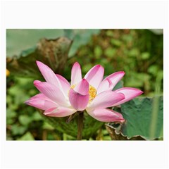 A Pink Lotus Glasses Cloth (large) by natureinmalaysia