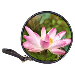 A Pink Lotus Cd Wallet by natureinmalaysia