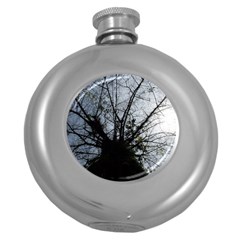 An Old Tree Hip Flask (round) by natureinmalaysia