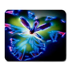 Flower Large Mouse Pad (rectangle) by Contest1650520