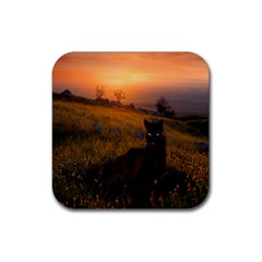 Evening Rest Drink Coaster (square) by mysticalimages