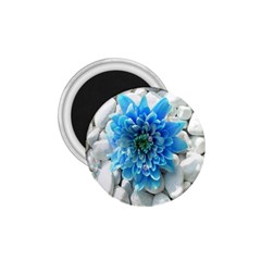 Blue 1 75  Button Magnet by Contest1650520