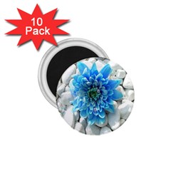 Blue 1 75  Button Magnet (10 Pack) by Contest1650520