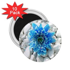 Blue 2 25  Button Magnet (10 Pack) by Contest1650520