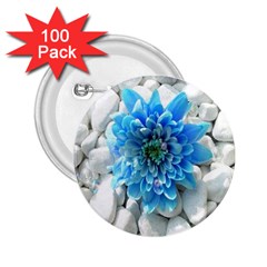 Blue 2 25  Button (100 Pack) by Contest1650520